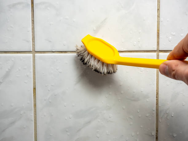 East Bangor, PA Mold Removal Company